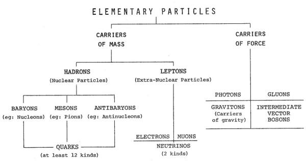 Elementary Particles chart, 1976